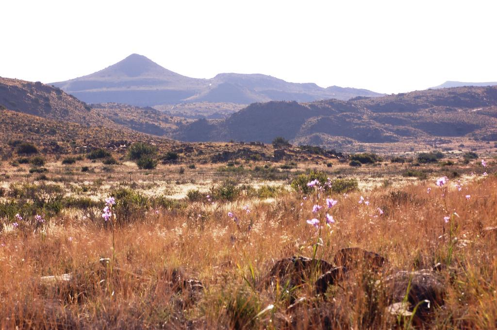 Villa The Vale Karoo Farm Nelspoort Esterno foto